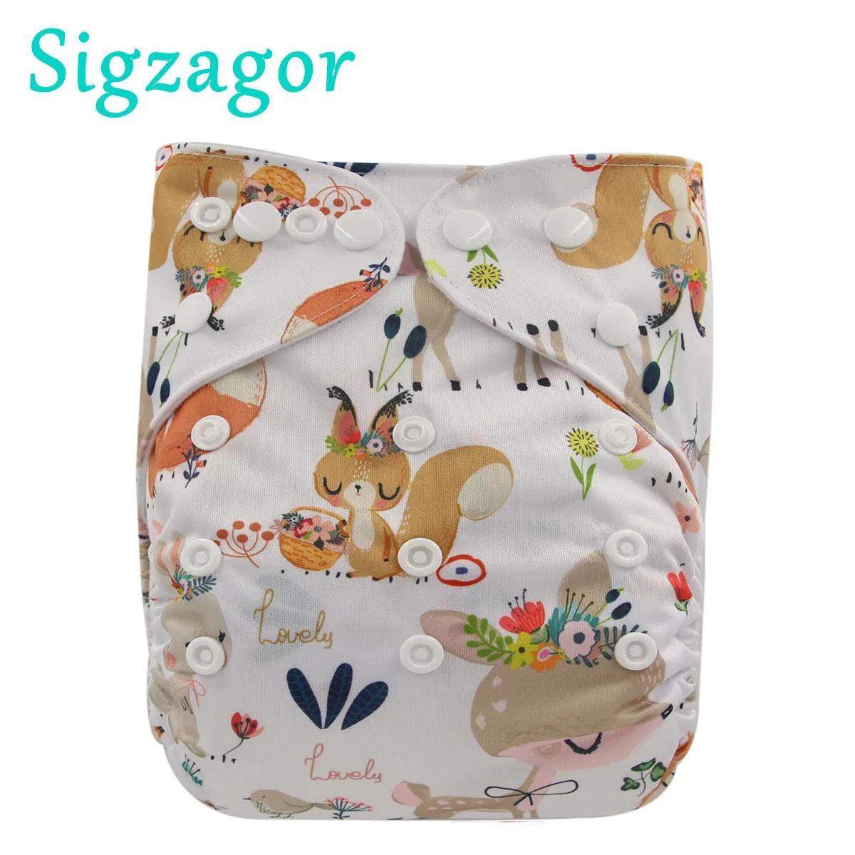 Ź  ũ ø , 3kg  15kg   [Sigzagor]  ָӴ õ 